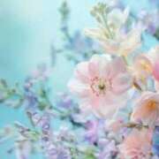 ヒメ日記 2026/02/16 07:31 投稿 宮下　さち 30・40・50代☆人妻熟女コレクション