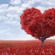 ヒメ日記 2026/02/18 11:19 投稿 宮下　さち 30・40・50代☆人妻熟女コレクション