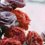 ヒメ日記 2026/04/28 22:08 投稿 宮下　さち 30・40・50代☆人妻熟女コレクション