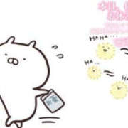 ヒメ日記 2026/04/08 08:15 投稿 ゆめ YESグループ TSUBAKI FIRST