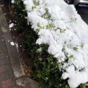 ヒメ日記 2026/02/08 19:10 投稿 桜井なつき やみつきエステ錦糸町店