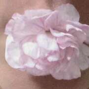 かすみ こんにちは💞はじめまして モアグループ神栖人妻花壇