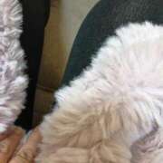 かすみ 入店して２日目（モコモコに包まれて） モアグループ神栖人妻花壇