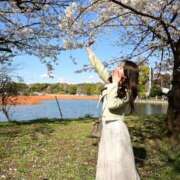 ヒメ日記 2026/01/29 03:21 投稿 みらい NEW GENERATION