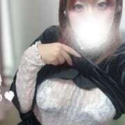 こはく 🎀目指せ！ホームラン🎀 ぽっちゃり巨乳専門店ちゃんこ八王子店