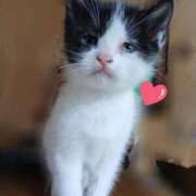 ヒメ日記 2026/02/01 12:43 投稿 あかね 人妻熟女の秘密の関係太田足利店