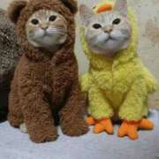 ヒメ日記 2026/02/10 23:53 投稿 あかね 人妻熟女の秘密の関係太田足利店