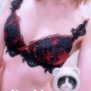 ヒメ日記 2026/01/24 16:30 投稿 星咲みつき YOKOHAMA FIVESTAR（横浜ファイブスター）