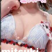 ヒメ日記 2026/02/19 07:01 投稿 星咲みつき YOKOHAMA FIVESTAR（横浜ファイブスター）