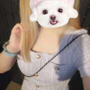 ヒメ日記 2026/02/06 17:03 投稿 みずき オースリー