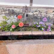 ヒメ日記 2026/02/24 11:33 投稿 ゆり オースリー