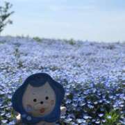 ヒメ日記 2026/04/08 12:17 投稿 ゆり オースリー