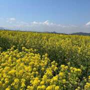 ヒメ日記 2026/04/11 12:07 投稿 ゆり オースリー