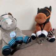 ヒメ日記 2026/02/19 12:31 投稿 りんか オースリー