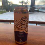 ヒメ日記 2026/01/31 14:35 投稿 響 オースリー