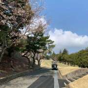 ヒメ日記 2026/03/31 11:55 投稿 響 オースリー