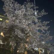 ヒメ日記 2026/04/09 12:14 投稿 響 オースリー