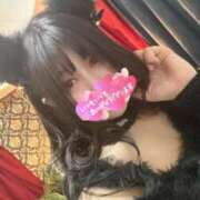 ヒメ日記 2026/02/19 00:10 投稿 るい【綺麗系癒し極嬢】 STELLA TOKYO－ステラトウキョウ－