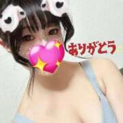 ヒメ日記 2026/03/02 02:10 投稿 るい【綺麗系癒し極嬢】 STELLA TOKYO－ステラトウキョウ－