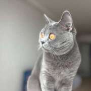 ヒメ日記 2026/02/08 09:03 投稿 御上 みゆう プルプルオフィスディーバ