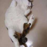 ヒメ日記 2026/01/17 15:08 投稿 あいこ チューリップ土浦店