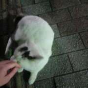 ヒメ日記 2026/01/19 11:38 投稿 あいこ チューリップ土浦店