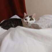 ヒメ日記 2026/01/19 17:21 投稿 あいこ チューリップ土浦店