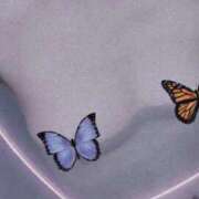 ヒメ日記 2026/01/24 08:25 投稿 ももか 柏人妻花壇