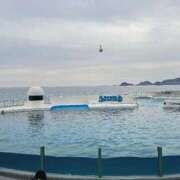 ヒメ日記 2026/02/05 13:51 投稿 しのぶ 水戸ソープランド　水戸スリーナイン(9990)