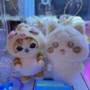 ヒメ日記 2026/02/06 12:22 投稿 しのぶ 水戸ソープランド　水戸スリーナイン(9990)