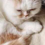 ヒメ日記 2026/02/26 00:01 投稿 しのぶ 水戸ソープランド　水戸スリーナイン(9990)