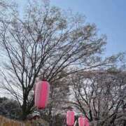 ヒメ日記 2026/04/01 10:23 投稿 しのぶ 水戸ソープランド　水戸スリーナイン(9990)