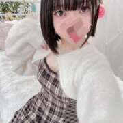 ヒメ日記 2026/02/06 18:34 投稿 うさ 沼津ハンパじゃない東京