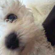 ヒメ日記 2026/03/14 17:31 投稿 らあ★S級！奇跡の極上美少女★ Chloe五反田本店　S級素人清楚系デリヘル