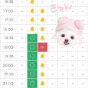 ヒメ日記 2026/03/28 17:59 投稿 らあ★S級！奇跡の極上美少女★ Chloe五反田本店　S級素人清楚系デリヘル