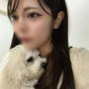 ヒメ日記 2026/04/17 16:01 投稿 らあ★S級！奇跡の極上美少女★ Chloe五反田本店　S級素人清楚系デリヘル