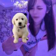 ヒメ日記 2026/05/20 20:26 投稿 らあ★S級！奇跡の極上美少女★ Chloe五反田本店　S級素人清楚系デリヘル