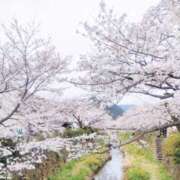 ヒメ日記 2026/03/30 23:51 投稿 倉本 なつ こあくまな熟女たち 宇部店(KOAKUMAグループ)