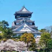 ヒメ日記 2026/04/19 06:50 投稿 倉本 なつ こあくまな熟女たち 宇部店(KOAKUMAグループ)