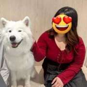 さき 🌸出勤したよーっ🌸 ぽっちゃり巨乳素人専門店ぷにめろ池袋店