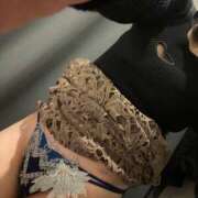 ヒメ日記 2026/01/14 02:11 投稿 れな 京都ホテヘル倶楽部