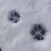 ヒメ日記 2026/01/31 08:39 投稿 さら(昭和52年生まれ) 熟年カップル名古屋～生電話からの営み～