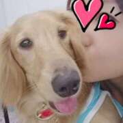 ヒメ日記 2026/02/19 10:12 投稿 さら(昭和52年生まれ) 熟年カップル名古屋～生電話からの営み～