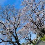 ヒメ日記 2026/03/24 10:19 投稿 さら(昭和52年生まれ) 熟年カップル名古屋～生電話からの営み～