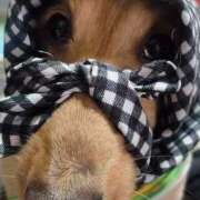 ヒメ日記 2026/04/01 08:04 投稿 さら(昭和52年生まれ) 熟年カップル名古屋～生電話からの営み～