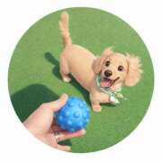 ヒメ日記 2026/04/02 09:27 投稿 さら(昭和52年生まれ) 熟年カップル名古屋～生電話からの営み～