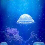 ヒメ日記 2026/01/21 14:34 投稿 ちょこ 奥様さくら難波店