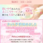 ヒメ日記 2026/03/16 09:27 投稿 船木 ミセスの手ほどき