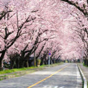 ヒメ日記 2026/03/27 09:52 投稿 えみ 千葉中央人妻援護会