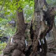 ヒメ日記 2026/01/22 10:14 投稿 まいか 元町奥さま